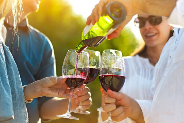 Niagara Wine Tours