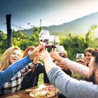 Group Wine Tours